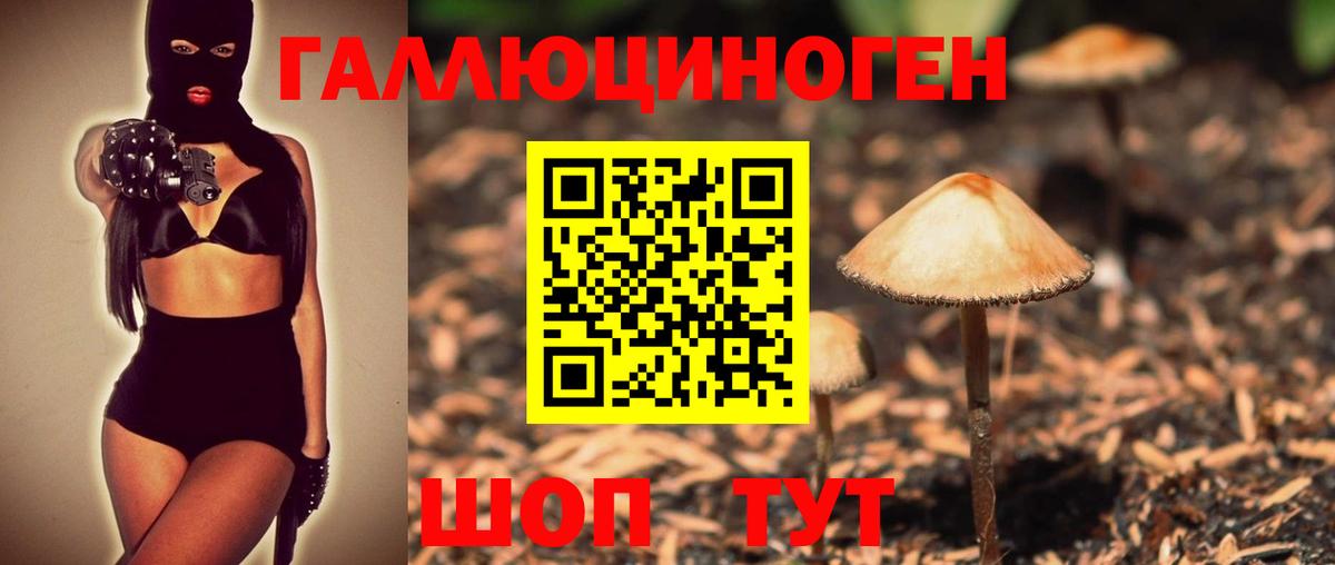 Зеленодольск  Псилоцибиновые грибы MAGIC MUSHROOMS  Вход с VPN 